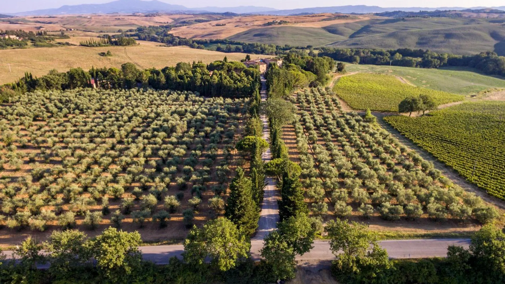 Frühstückspension Agriturismo Pometti - Fattoria La Selva Trequanda