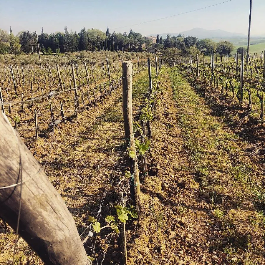Agriturismo Pometti - Fattoria La Selva Trequanda